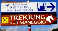Reiterhof in der Toskana reiten Ausritte Reiturlaub in Italien