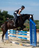 riding courses and horse trekking in Tuscany Italy