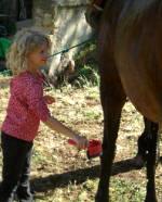 Toscana on horseback écurie vacances cheval en Toscane Volterra
