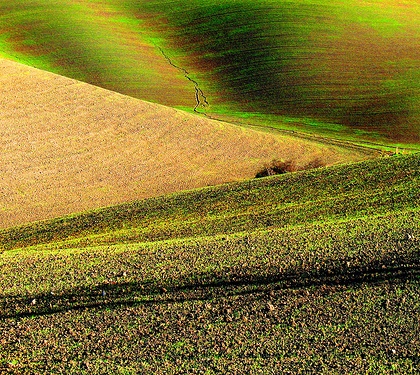 Florence Siena San Gimignano Volterra Tuscany Italy