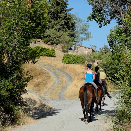 Tuscany Italy horse riding holiday stables Podere Palazzone