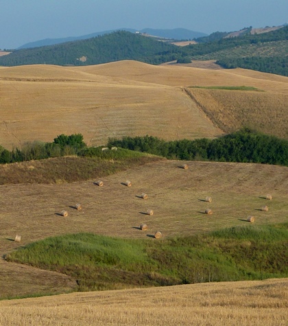 passeggiate e trekking a cavallo Toscana