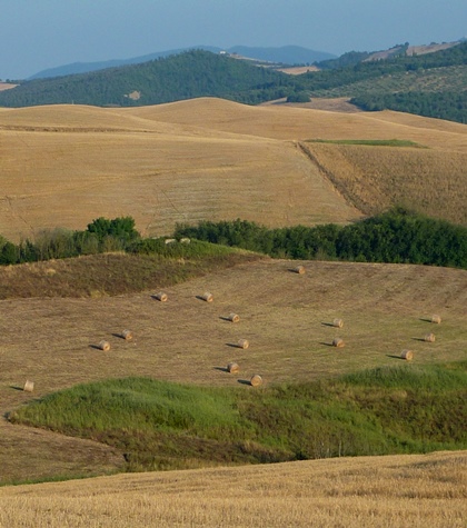 Tuscany Italy horse riding holiday stables Podere Palazzone