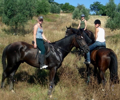 Toscana Volterra Agriturismo