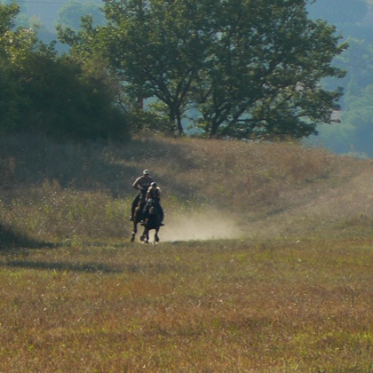 Tuscany Italy horse riding holiday stables Podere Palazzone