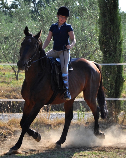 escursioni
 a cavallo in Toscana agriturismo Volterra