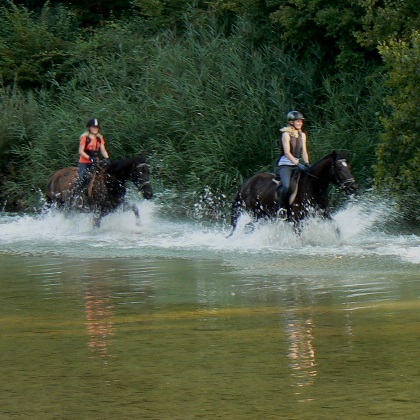 gîte vacances équitation balade rando á cheval Sienne San Gimignano Volterra Toscane Italie