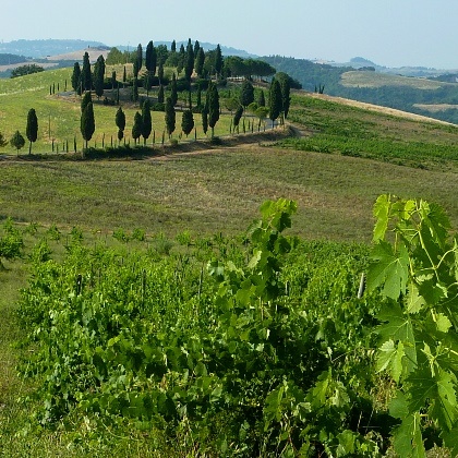 gîte vacances équitation balade rando á cheval Sienne San Gimignano Volterra Toscane Italie