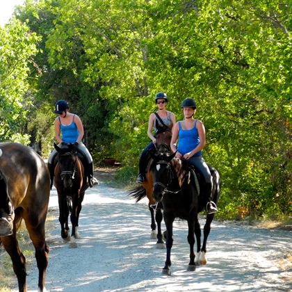 cavallo e agriturismo in Toscana Volterra