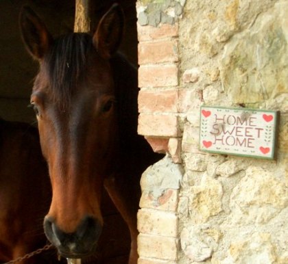 equiturismo Podere Palazzone Volterra Toscana