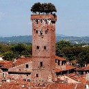 Lucca agriturismo appartamento camere e cavallo in Toscana