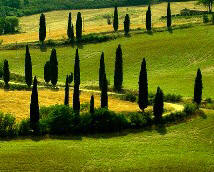 Podere Palazzone horse riding Tuscany Italy