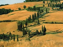 horse riding in Tuscany Italy