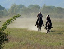 stables Podere Palazzone Toscana on horseback