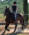 equiturismo Toscana equitazione in Toscana