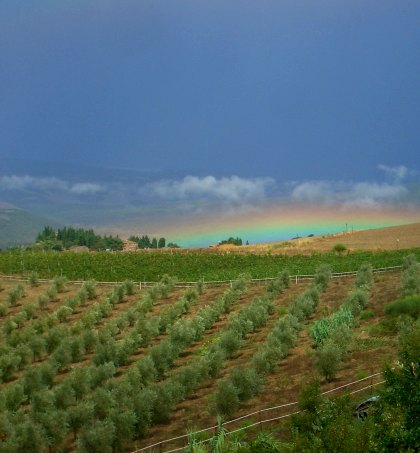 bed and breakfast farmhouse holiday in Tuscany Italy