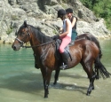 Ausritte zu Pferd im Urlaub auf dem Bauernhof Italien Toskana