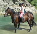 equiturismo Toscana on horseback