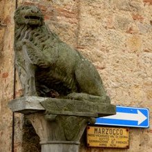 écurie Podere Palazzone balades à cheval en toscane Italie