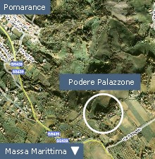 écurie Podere Palazzone balades à cheval en toscane Italie